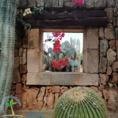 Ausflugsziele » Botanicactus