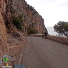 Couves de Arta