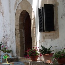 Jardines de Alfabia