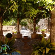 Jardines de Alfabia