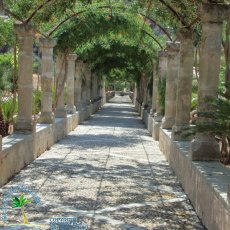 Jardines de Alfabia