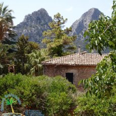 Jardines de Alfabia
