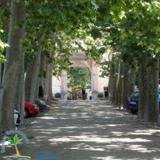 Jardines de Alfabia