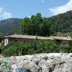 Jardines de Alfabia