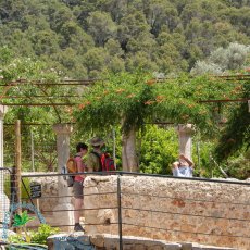 Jardines de Alfabia