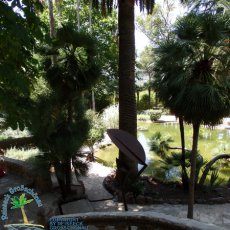 Jardines de Alfabia