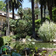 Jardines de Alfabia
