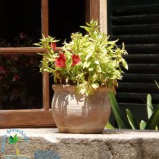 Jardines de Alfabia