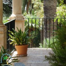 Jardines de Alfabia