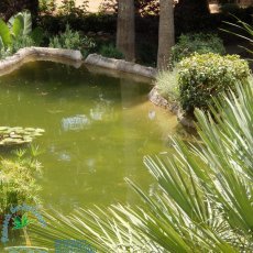 Jardines de Alfabia