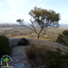 Puig de Sant Salvador