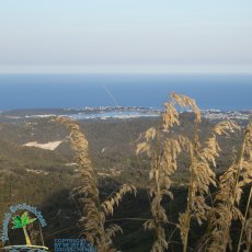 Puig de Sant Salvador
