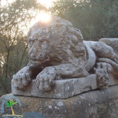 Puig de Sant Salvador