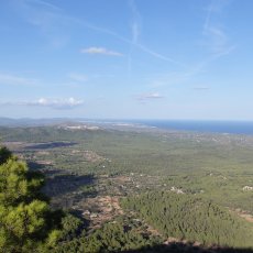 Puig de Sant Salvador