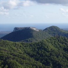 Puig de Sant Salvador