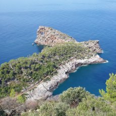 Son Marroig