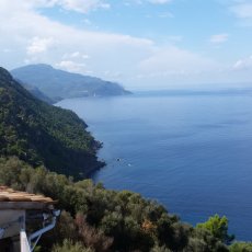 Son Marroig