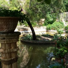 Son Marroig