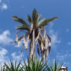 Inforeise September 2017