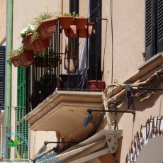 Alcudia