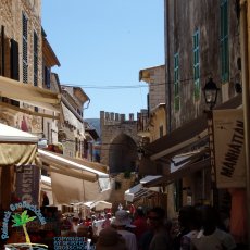 Alcudia