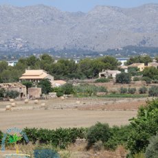 Alcudia