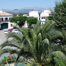 Alcudia