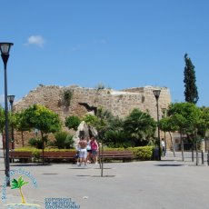 Alcudia