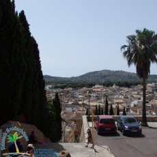 Arta