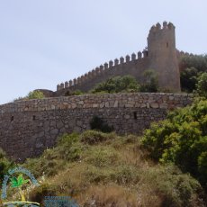 Arta
