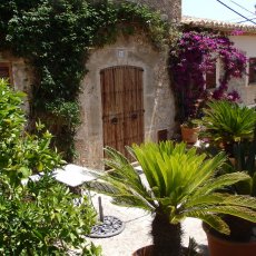 Pollenca