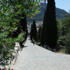Pollenca