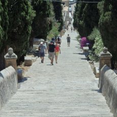 Pollenca
