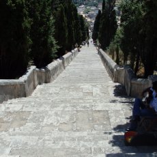 Pollenca