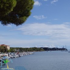Portocolom