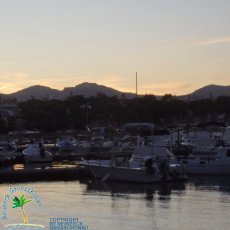 Portocolom