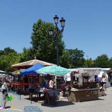 Sineu