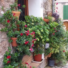 Valldemossa