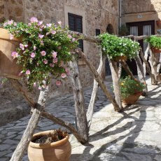 Valldemossa
