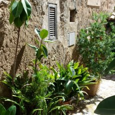 Valldemossa