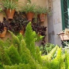 Valldemossa