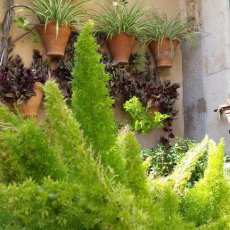 Valldemossa