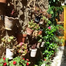 Valldemossa