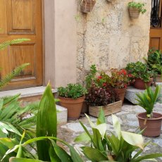 Valldemossa