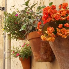Valldemossa