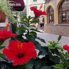 Valldemossa