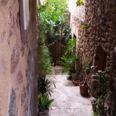 Valldemossa