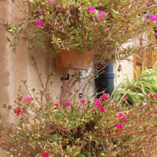 Valldemossa