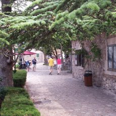 Valldemossa