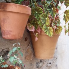 Valldemossa